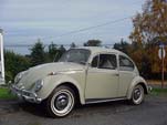 '66 vw bug