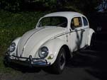Volkswagen oval window bug painted white