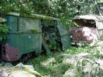 Volkswagen Junkyard Has a VW Bay Window Westfalia Camper Stuck In The Trees