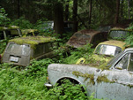 Forgotten VW junkyard With Volkswagen Squareback Wagons