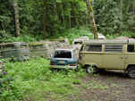 Volkswagen Junkyard With Group of VW Bay Window Bus Westy Campers