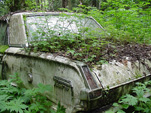 Volkswagen Wreckingyard Includes This Plymouth Valient Sedan Growing Ferns