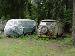 Volkswagen Junk Yard with Group of Early Volkswagen Splittie Buses