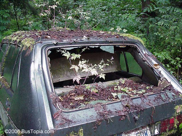 volkswagen 411 sedan