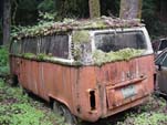 Volkswagen Salvage Yard With Late Model VW Bay Window Bus Sprouting Roof of Weeds
