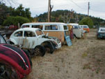 Forgotten VW junkyard