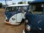 Several Volkswagen T1 Buses in VW Junkyard, Awaiting Restoration