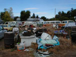 Volkswagen WreckingYard with VW Bugs and VW T2 Bay Window Buses