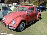VW Bug in original color L351 - Coral Red