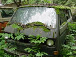 Forgotten VW junkyard With Early Volkswagen Vanagon Bus Growing Ferns and Weeds