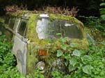 VW Auto Wrecking Lot has a Very Mossy Volkswagen Bay Window Bus