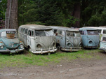 VW Wrecking Yard has a Collection of Early Volkswagen Splitties For Restoration 